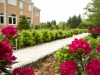 walkway and flowers landscape
