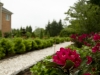 rock path walkway and flowers landscape
