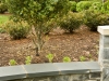 landscape design annapolis, md