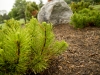 landscape design annapolis, md