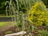 landscape design annapolis, md