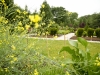 lawn care washington dc