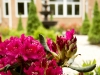 landscaping company