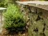 landscaping company