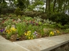 landscaping company