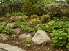 landscaping annapolis, md
