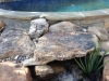 water feature designs annapolis