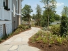 landscape services