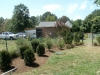 landscape services