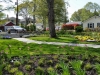 Landscape Design