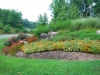 Landscape Design