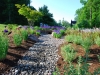 Landscape Design