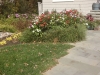 landscape services
