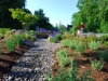 Landscape Design