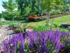 Landscape Design