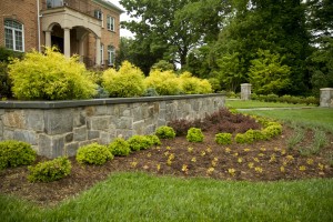 Landscape Design Annapolis MD