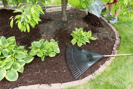 Spring Landscaping Tips