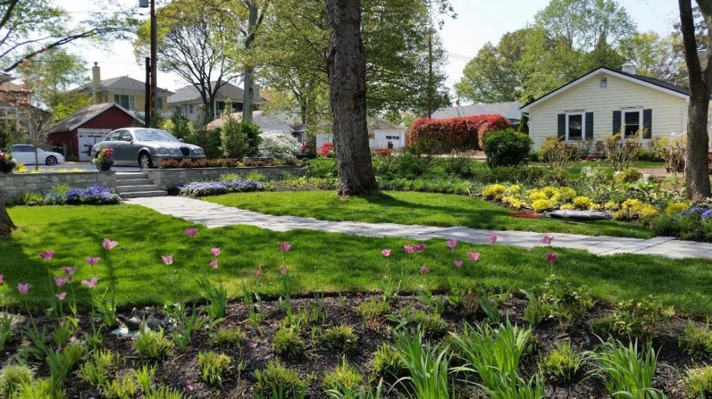 Professional Landscaping Services