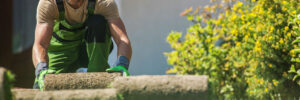 Landscaper Rolling New Turf