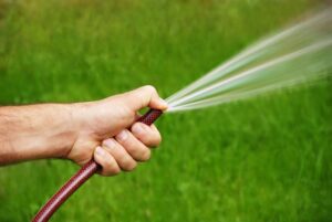 Lawn Care Services in Annapolis, MD