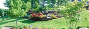 Hillside Landscape with Trees and Flowerbeds