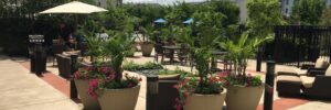 Stone Patio with Tables and Chairs for Dining at Restaurant