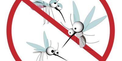 Funny mosquito prohibition sign. Stop insects. Vector character with wings