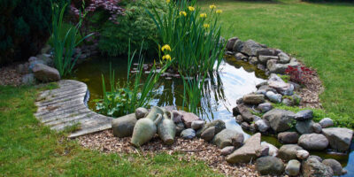Beautiful backyard classical garden fish pond surrounded by grass