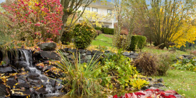 Fall changing leaves scattered across pond